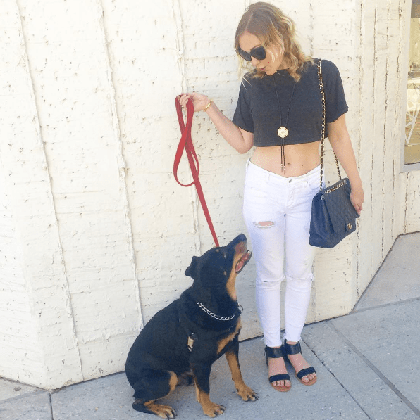 Screen Shot 2016-07-18 at 7.41.02 PM